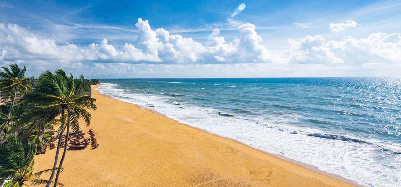 Charming Homestay By The Beach Dehiwala-Mount Lavinia Екстер'єр фото